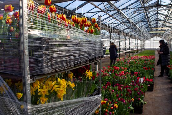 Russia Flowers