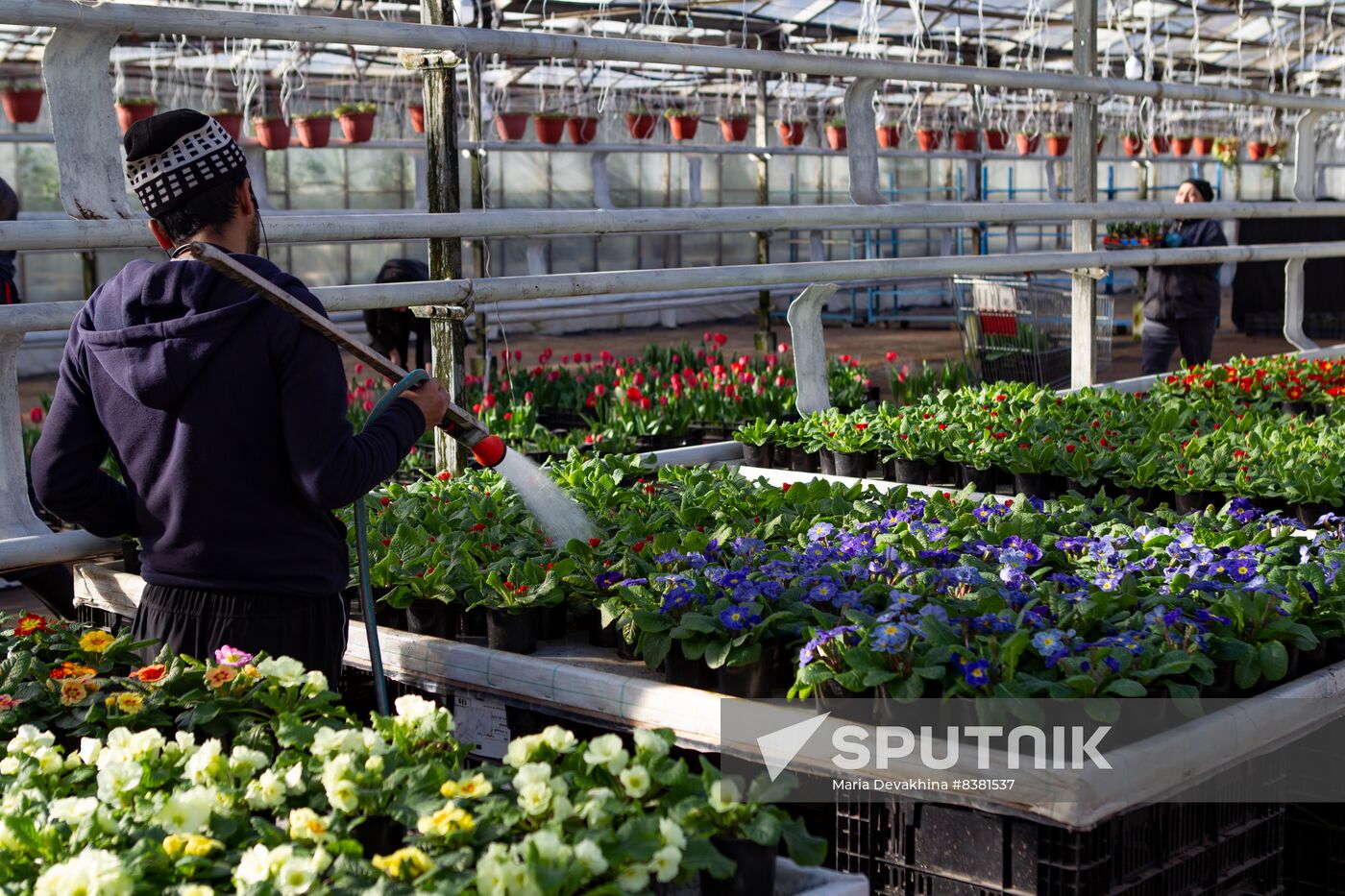 Russia Flowers