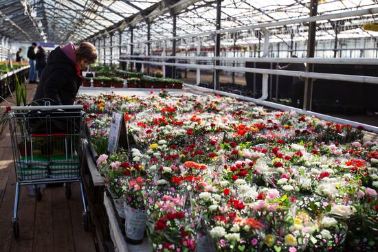 Russia Flowers