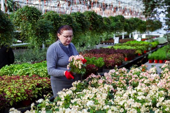 Russia Flowers