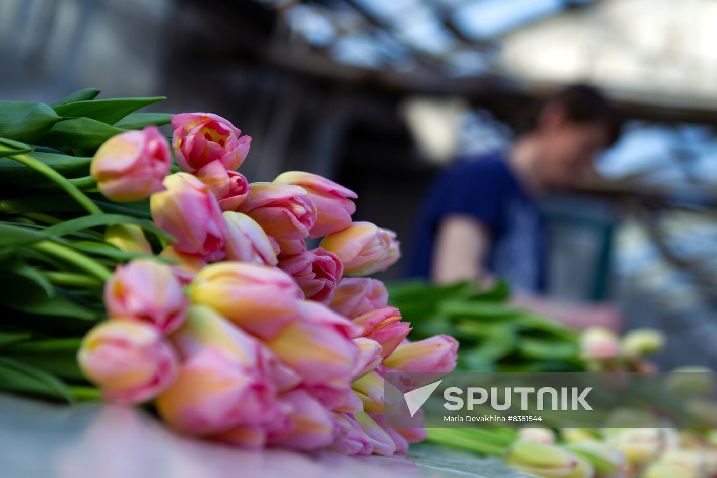 Russia Flowers