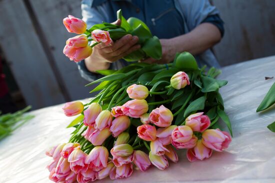 Russia Flowers