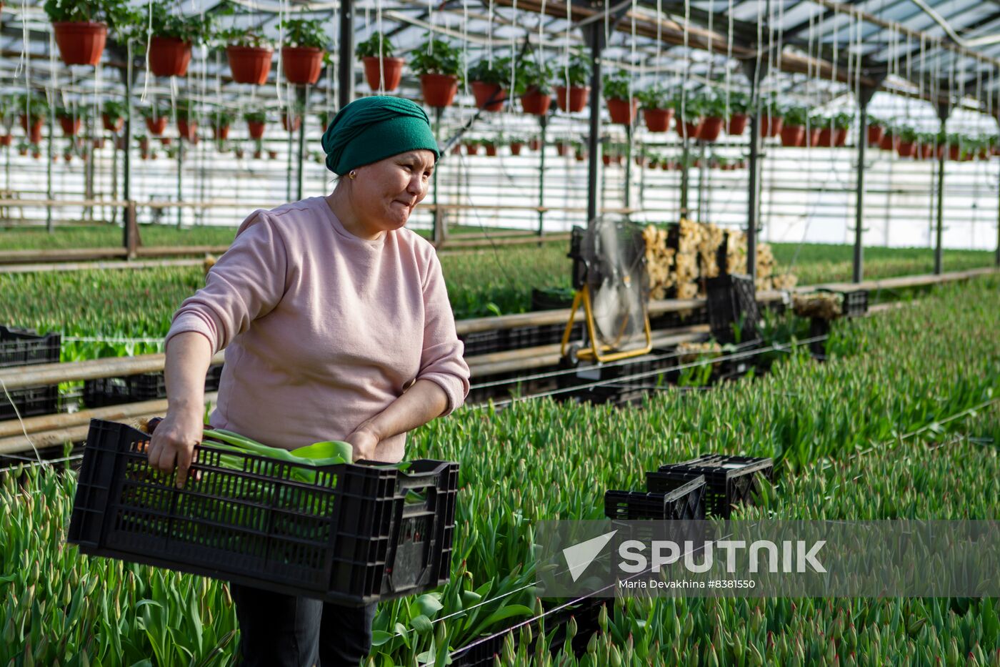 Russia Flowers