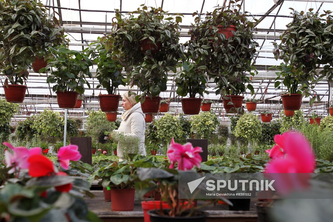 Russia Flowers