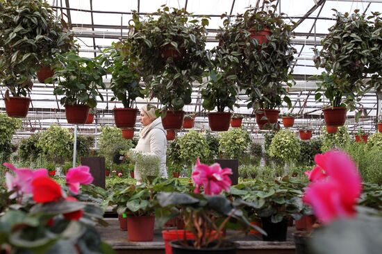 Russia Flowers