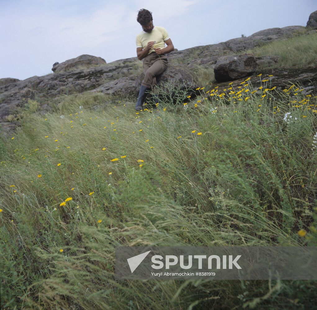 Blooming steppe