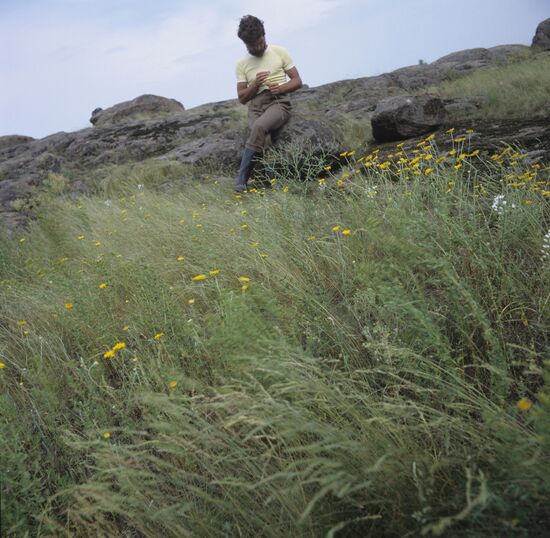 Blooming steppe