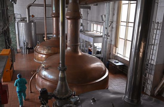 Russia Brewing Industry