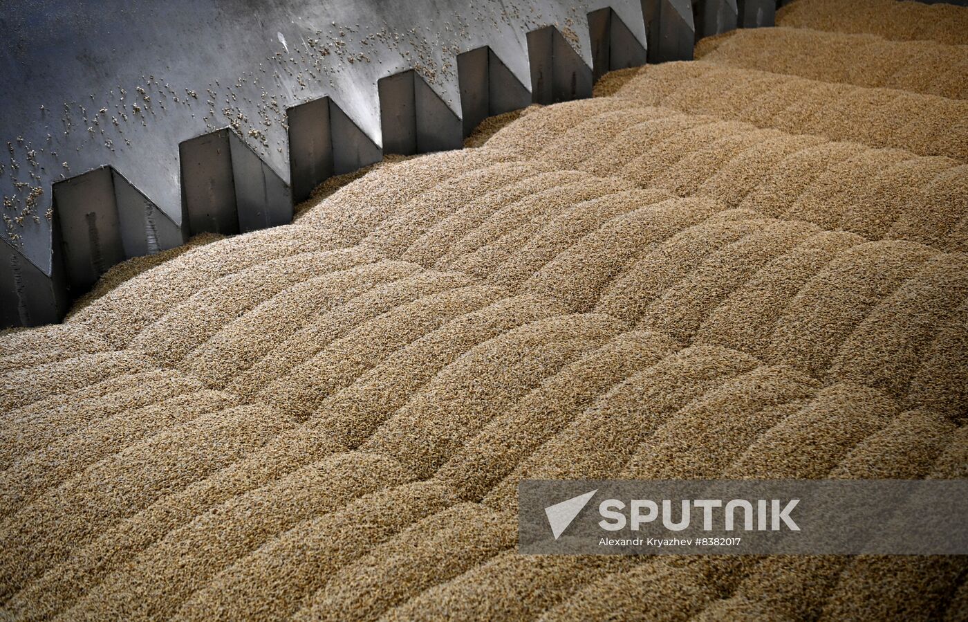Russia Brewing Industry