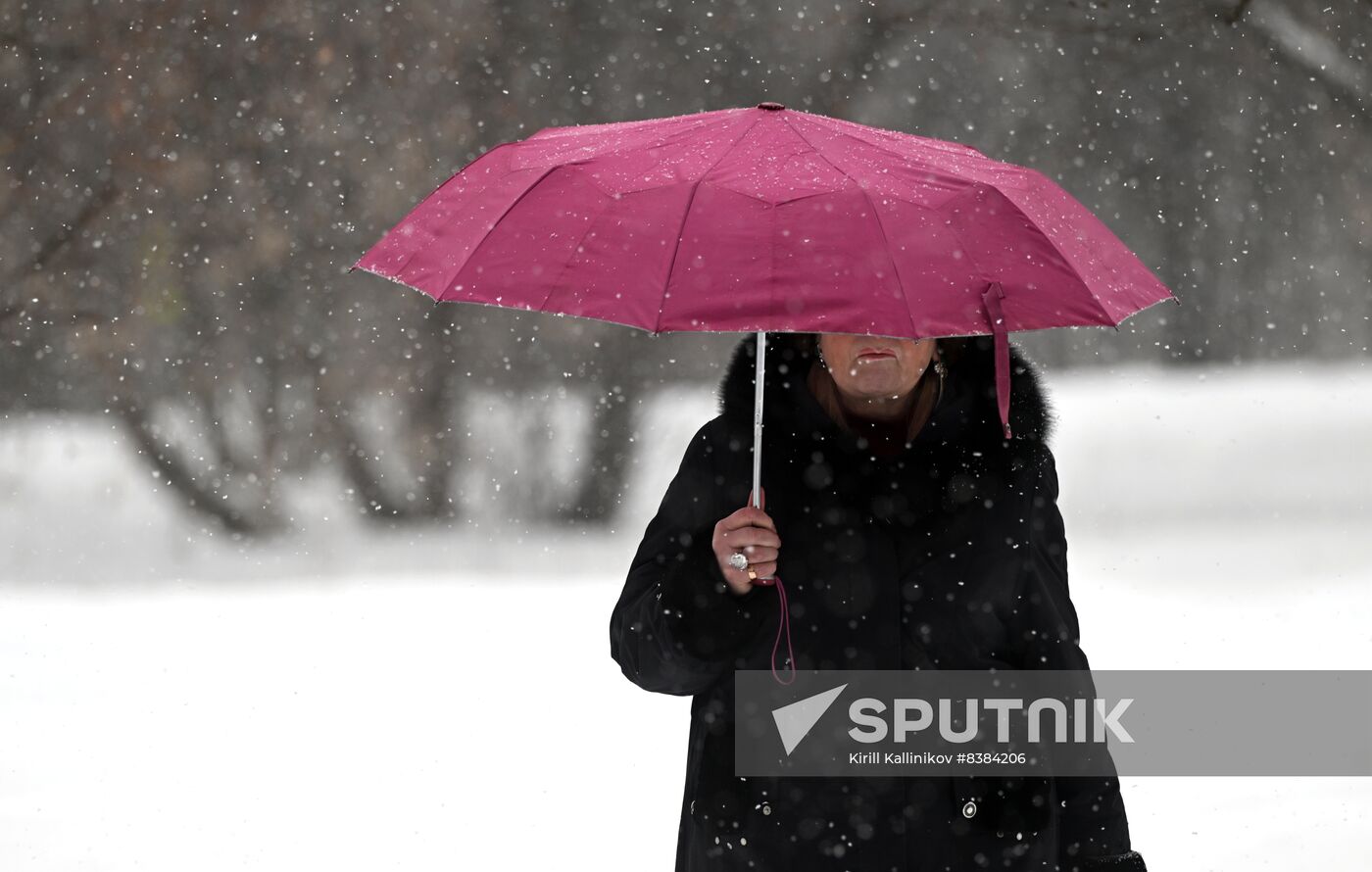Russia Weather