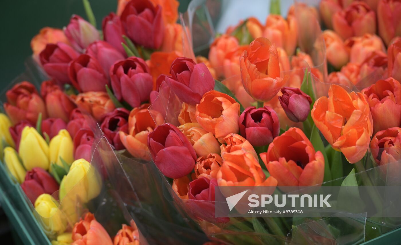 Russia Women’s Day Preparations