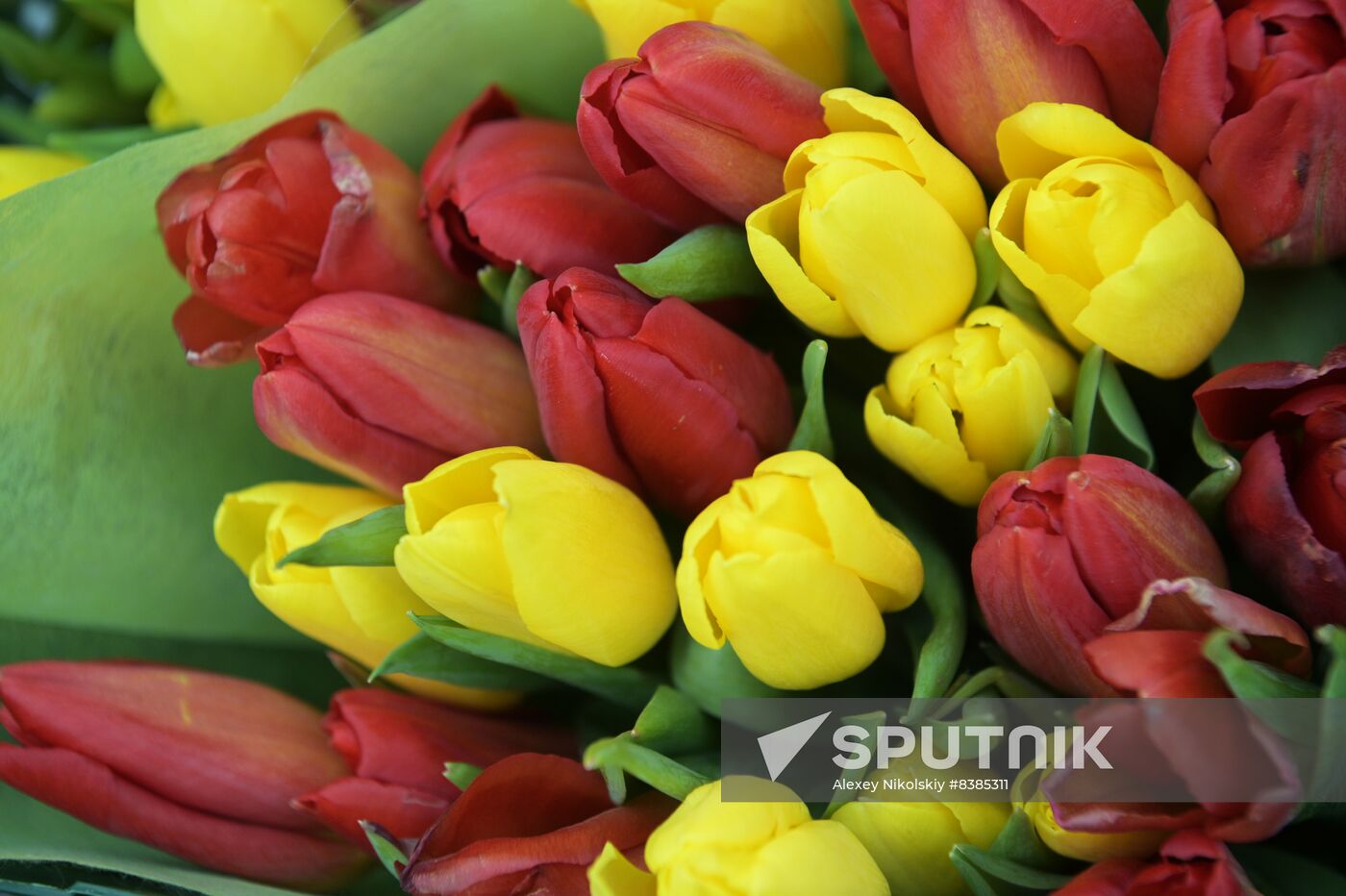 Russia Women’s Day Preparations