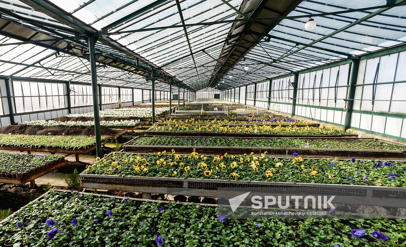 Russia Flowers