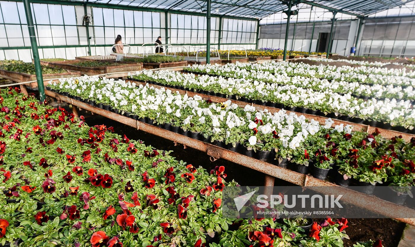 Russia Flowers