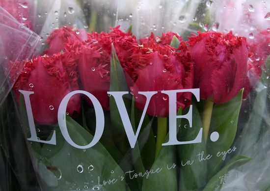 Russia Women’s Day Flower Sales