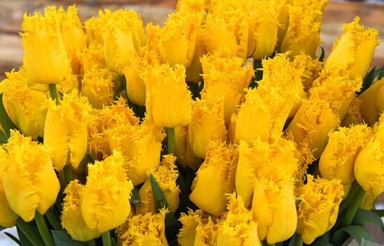 Russia Women’s Day Flower Sales