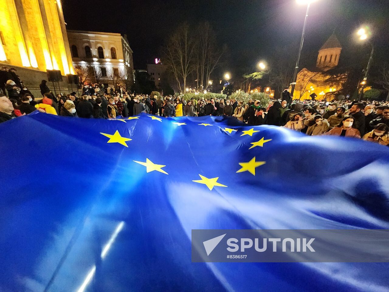 Georgia Protest