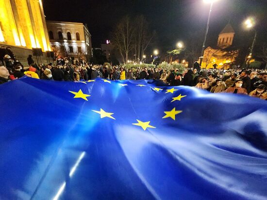 Georgia Protest