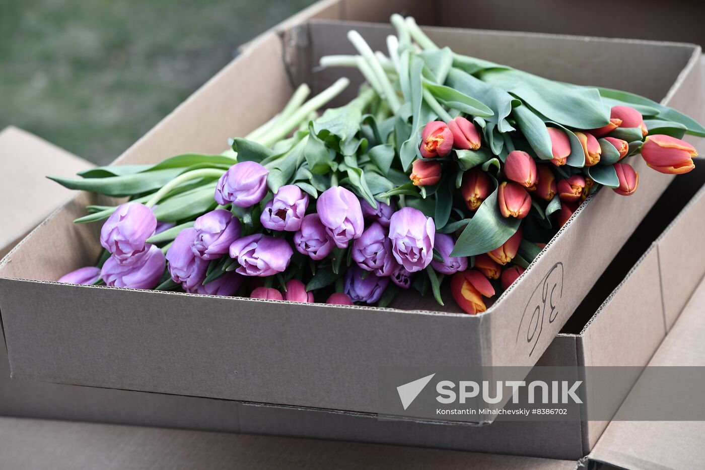 Russia Women’s Day