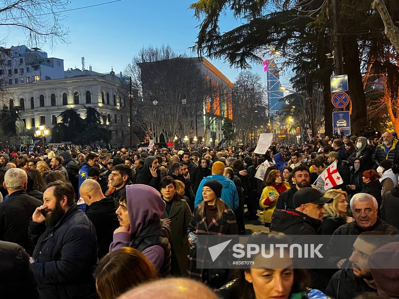 Georgia Protest