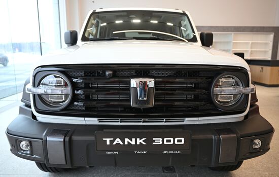 Russia China New Car Sales