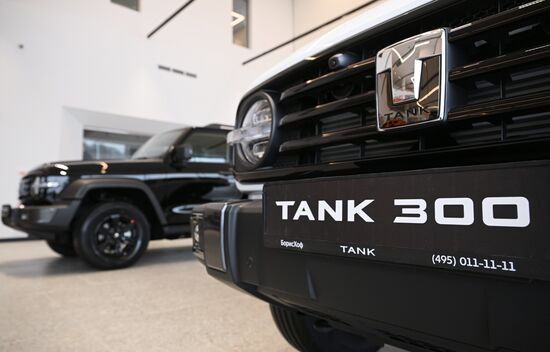 Russia China New Car Sales