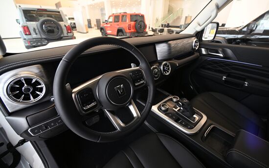 Russia China New Car Sales