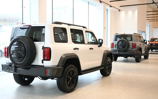 Russia China New Car Sales