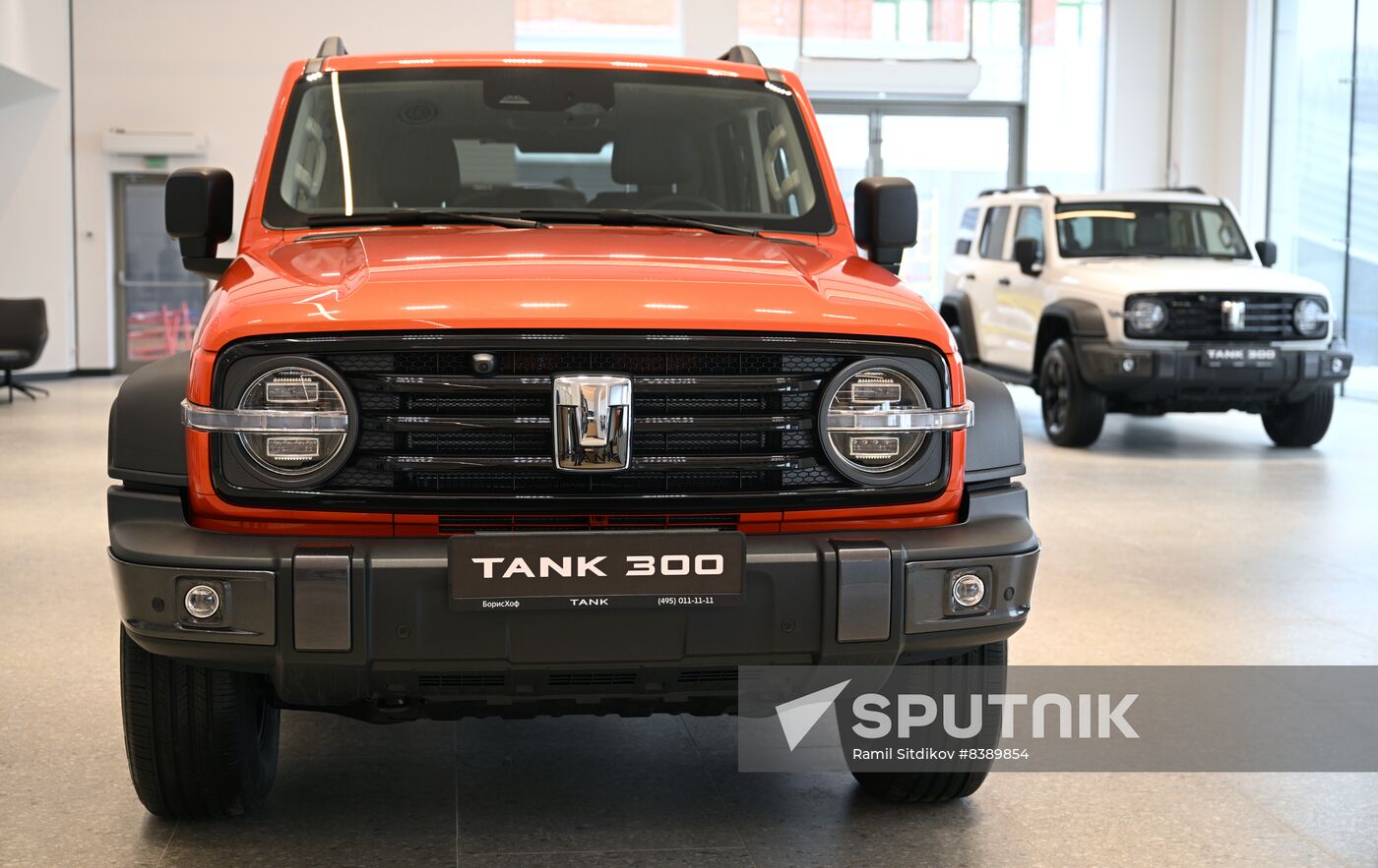 Russia China New Car Sales