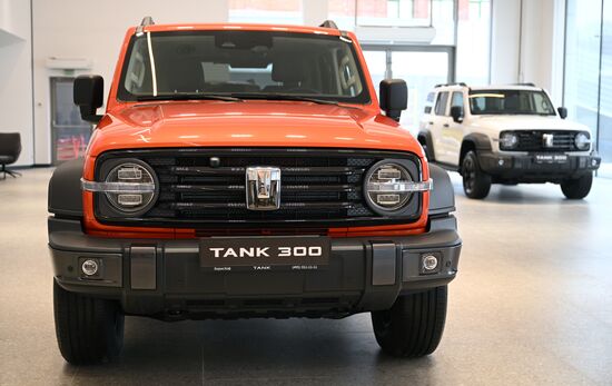 Russia China New Car Sales