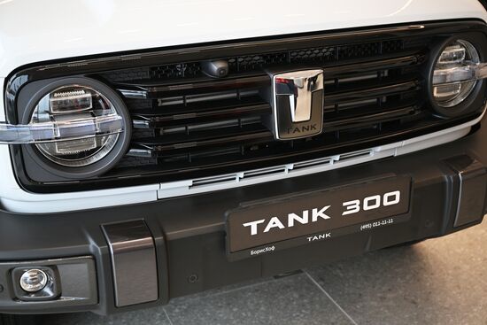 Russia China New Car Sales