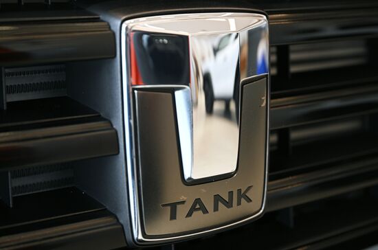 Russia China New Car Sales