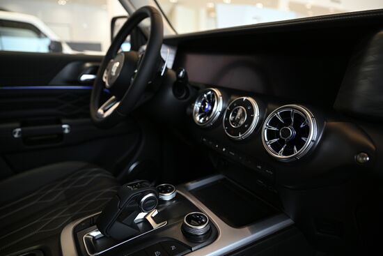 Russia China New Car Sales