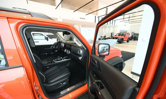 Russia China New Car Sales