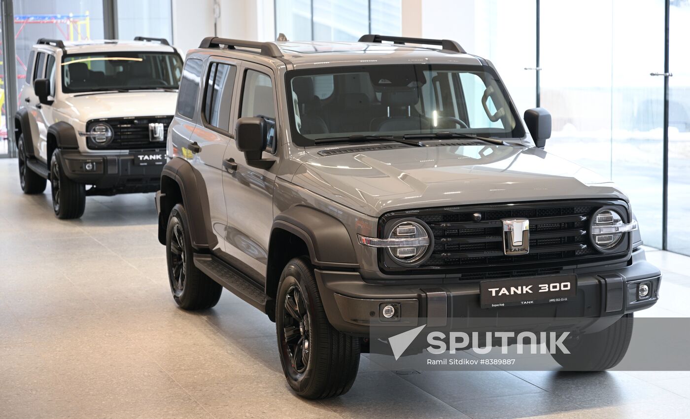 Russia China New Car Sales