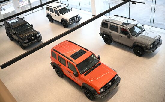 Russia China New Car Sales