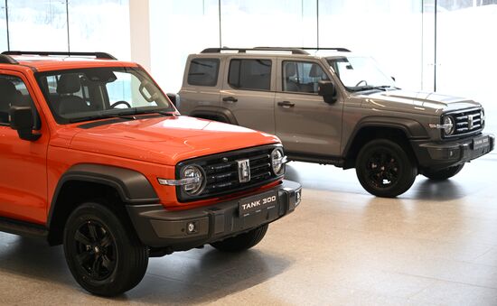 Russia China New Car Sales