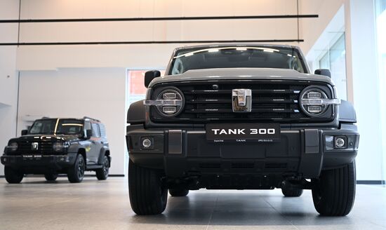 Russia China New Car Sales