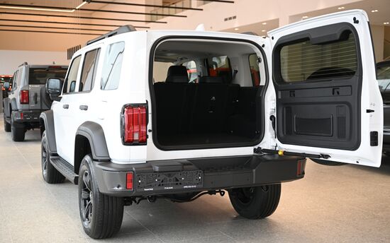 Russia China New Car Sales