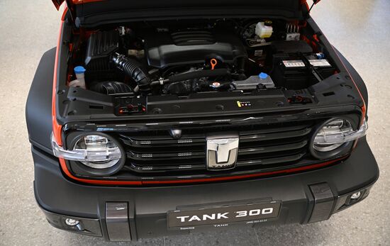 Russia China New Car Sales