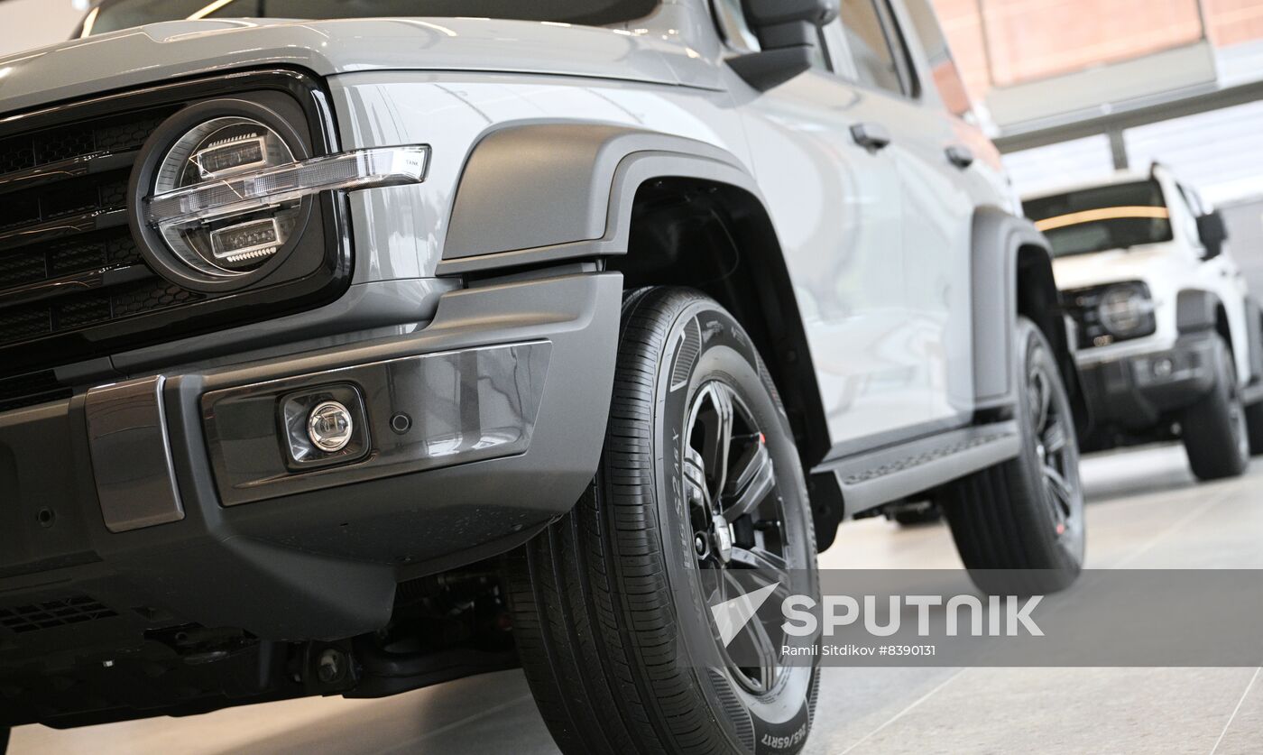 Russia China New Car Sales