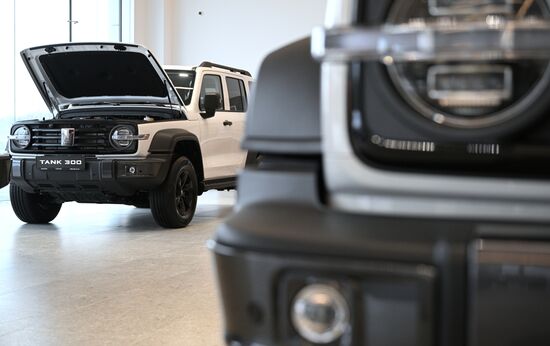 Russia China New Car Sales