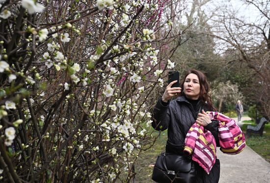 Russia Environment Flowers Blossom