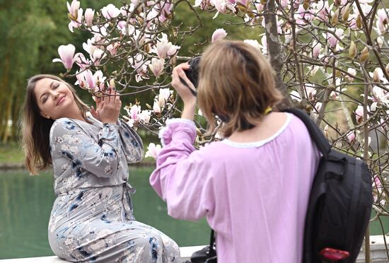 Russia Environment Flowers Blossom
