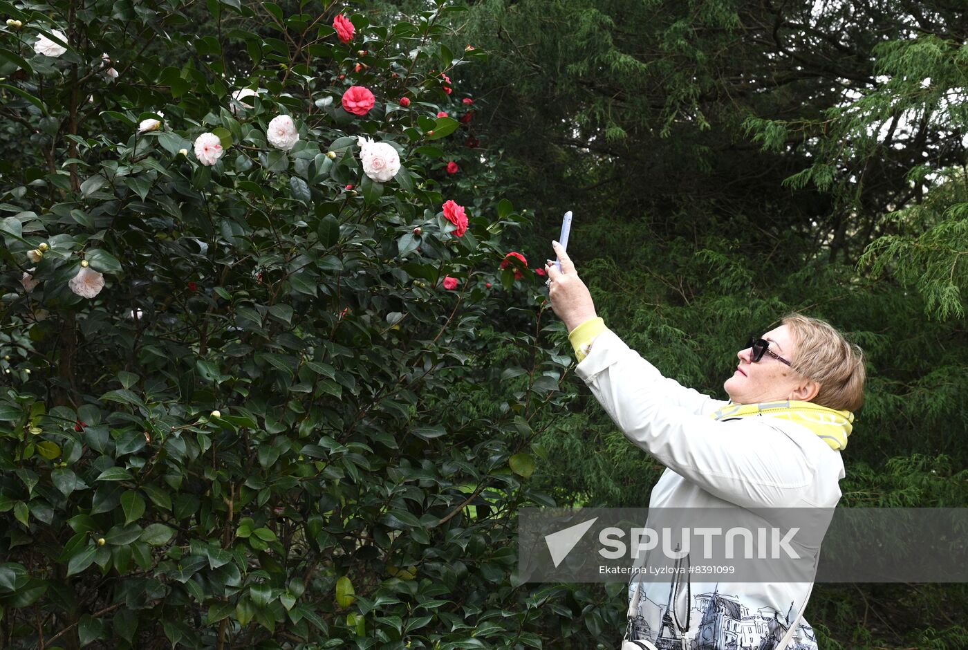 Russia Environment Flowers Blossom