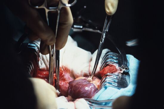 Research Institute of Blood Circulation Pathology of RSFSR Healthcare Ministry