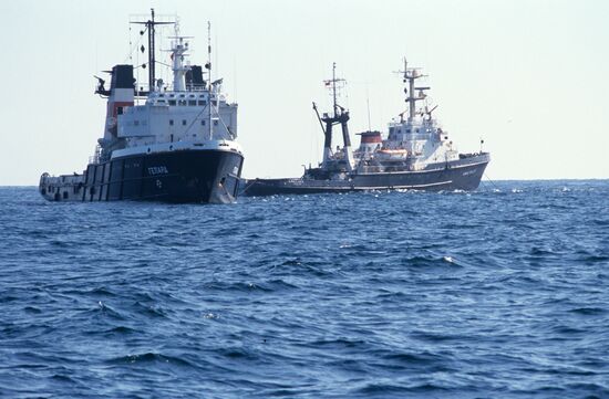 Tragedy near Cape Doob