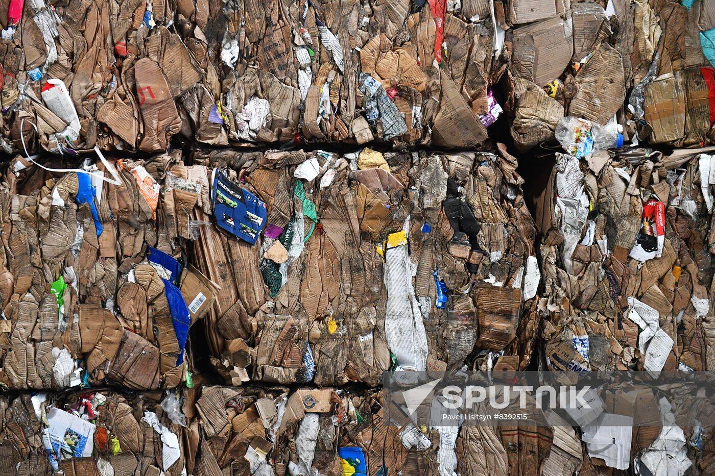 Russia Environment Recycling