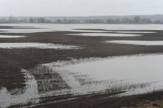 Russia Floods