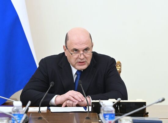 Russia Mishustin Government Report